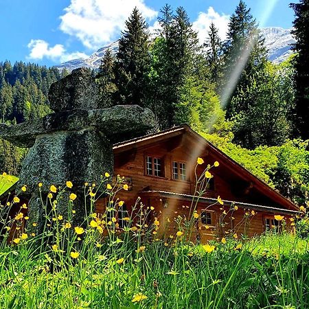 Alpenlodge Willigen Екстериор снимка