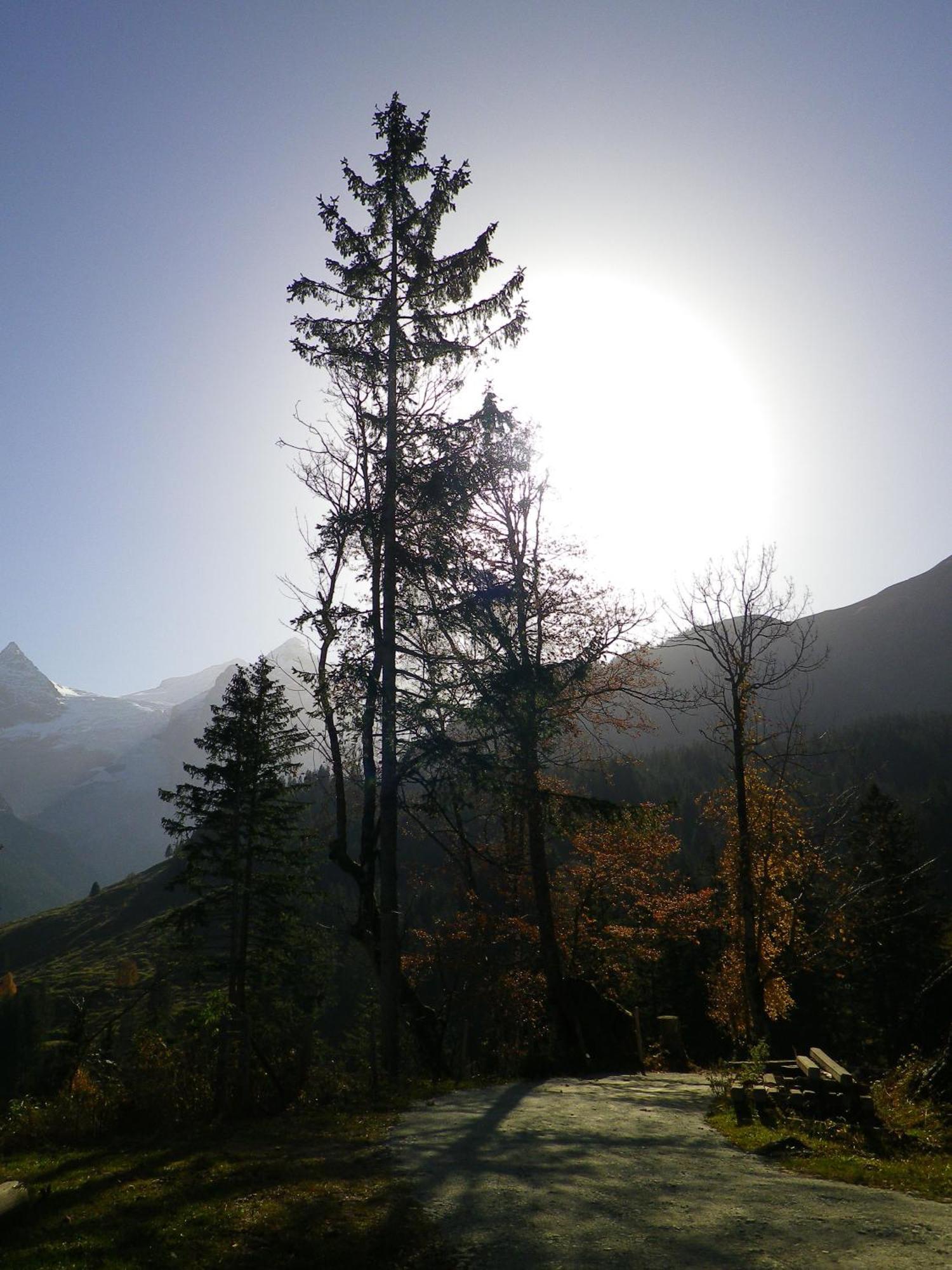Alpenlodge Willigen Екстериор снимка