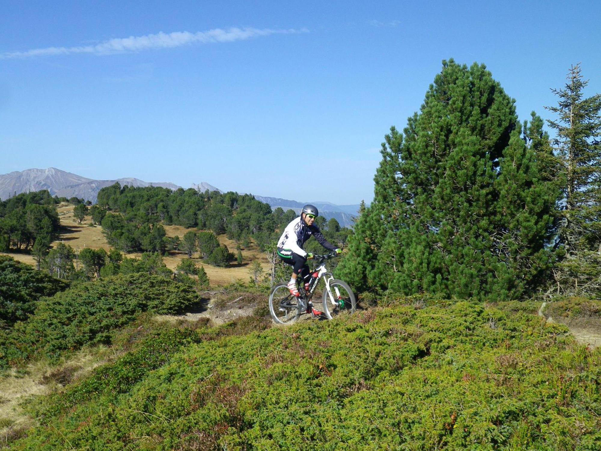 Alpenlodge Willigen Екстериор снимка