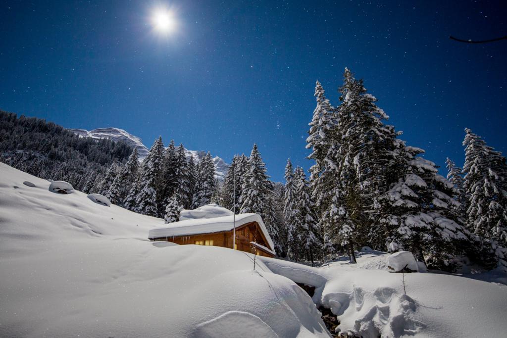 Alpenlodge Willigen Екстериор снимка