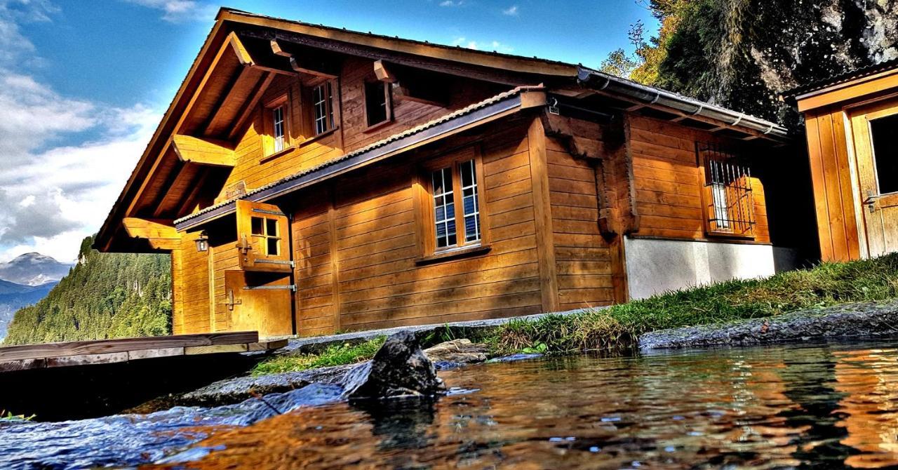 Alpenlodge Willigen Екстериор снимка