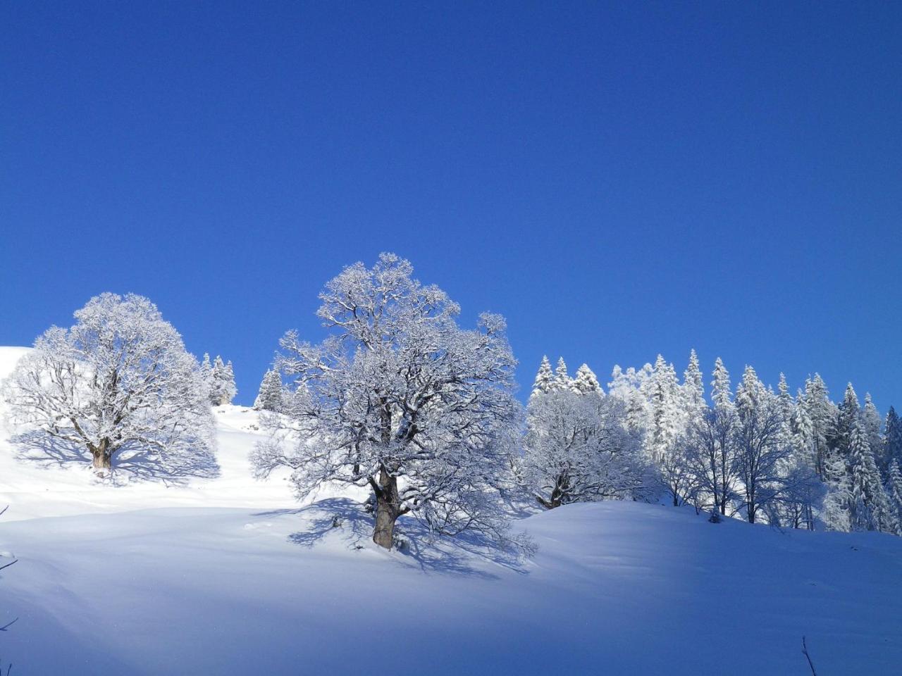 Alpenlodge Willigen Екстериор снимка