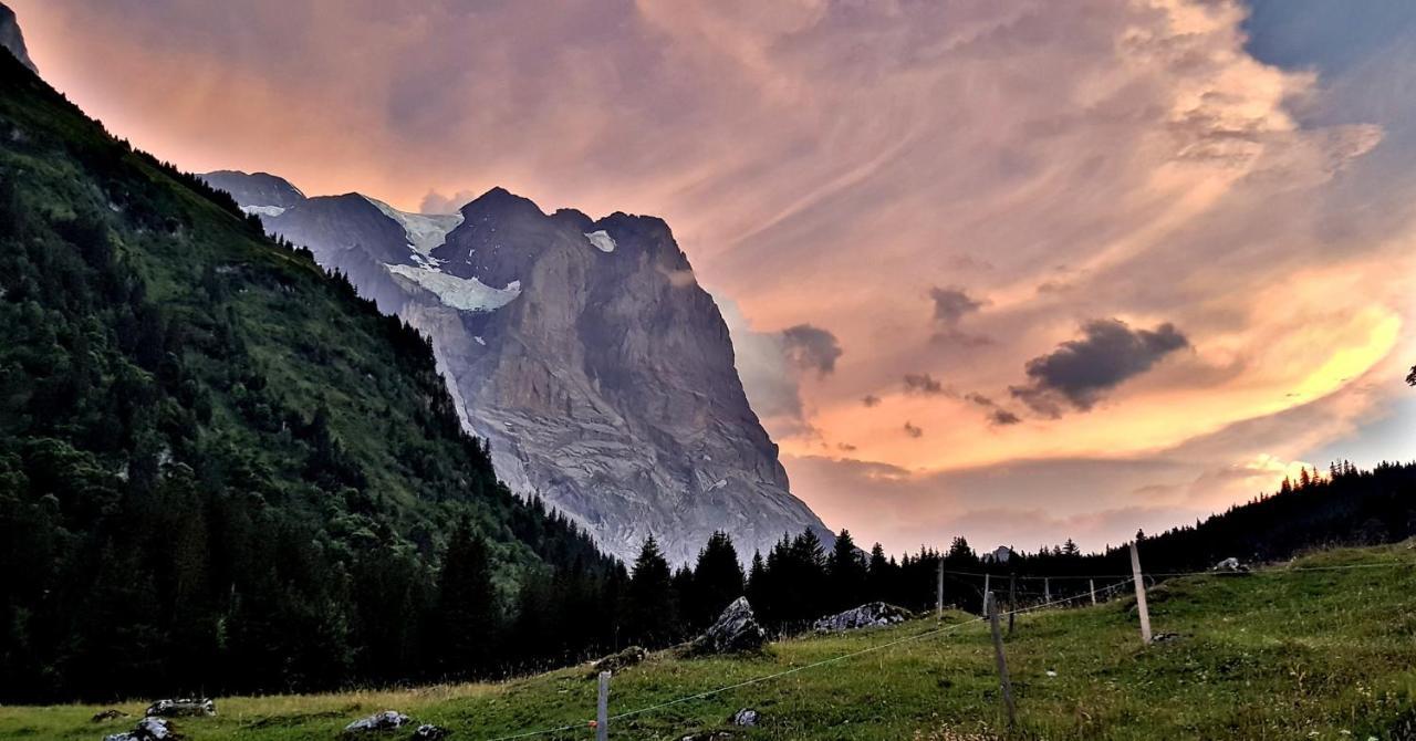 Alpenlodge Willigen Екстериор снимка