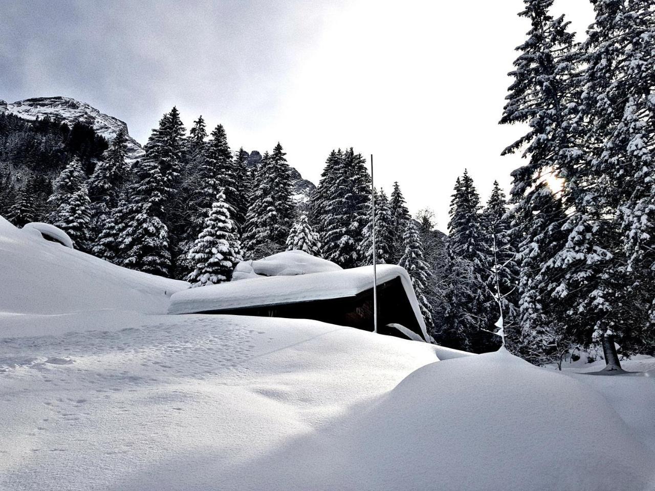 Alpenlodge Willigen Екстериор снимка