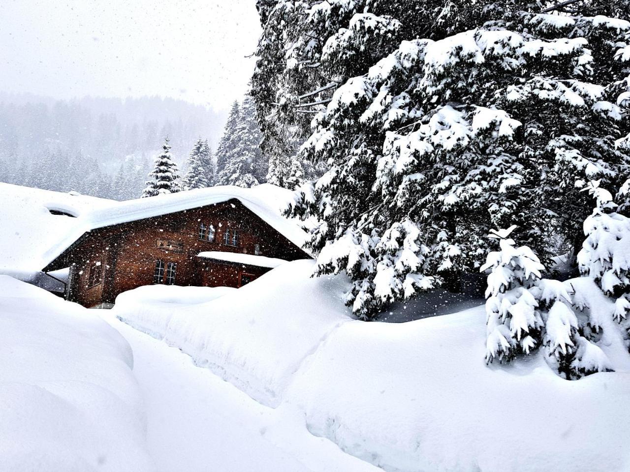 Alpenlodge Willigen Екстериор снимка