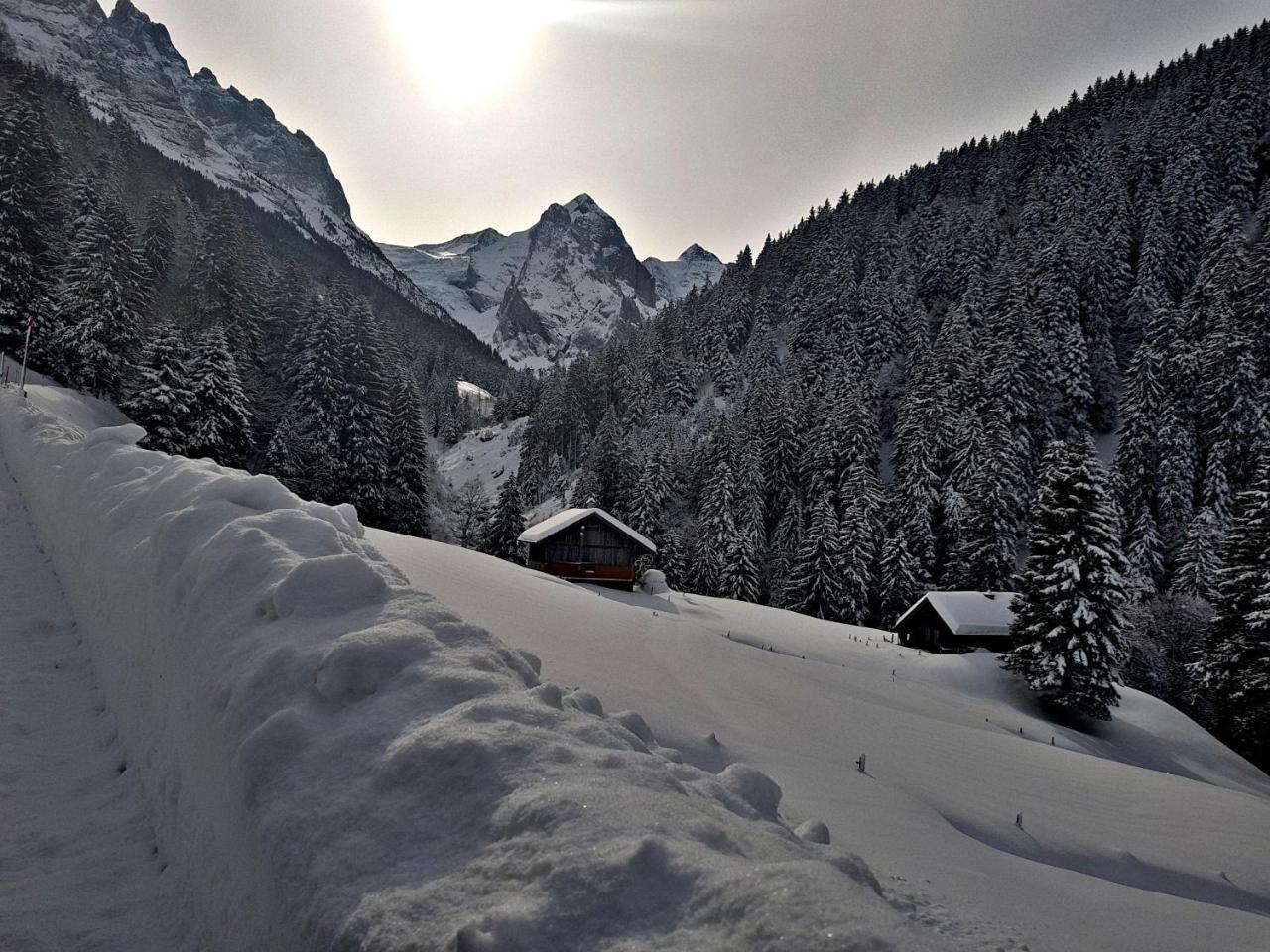 Alpenlodge Willigen Екстериор снимка