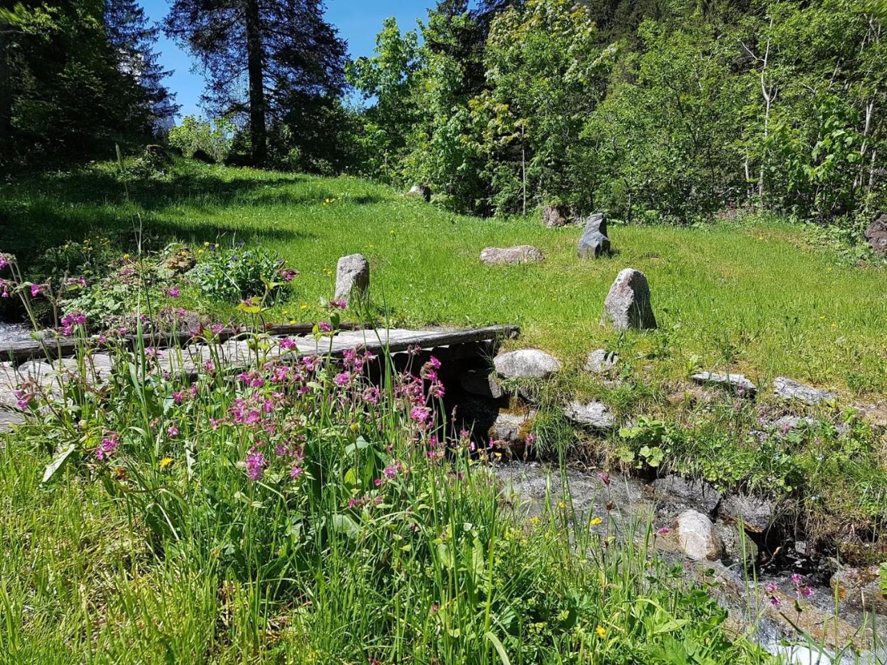 Alpenlodge Willigen Екстериор снимка