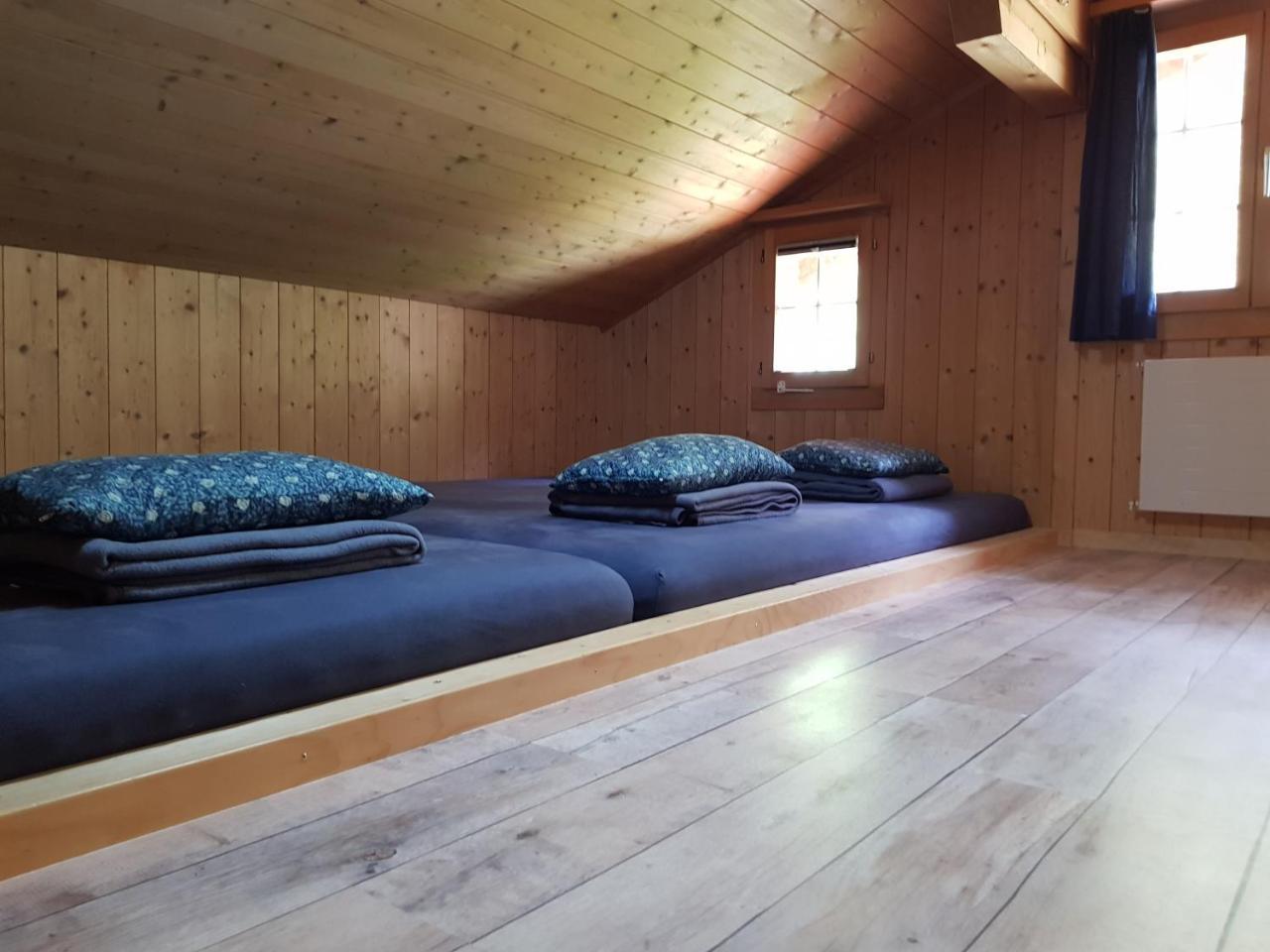 Alpenlodge Willigen Екстериор снимка