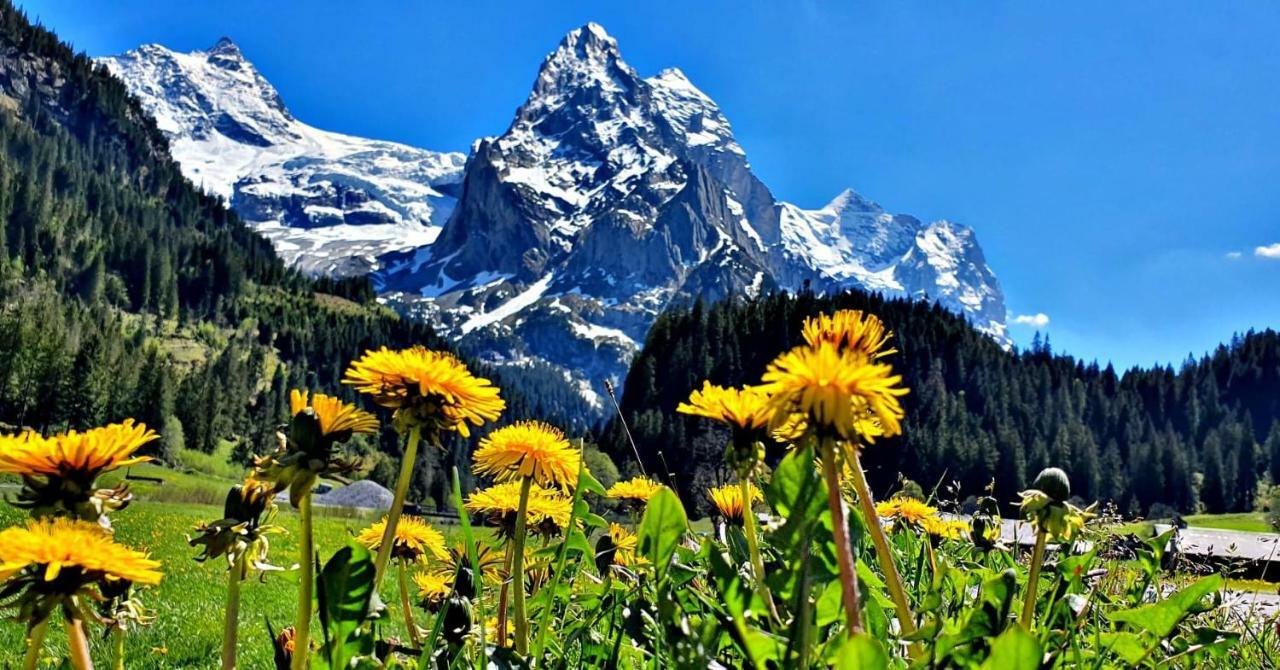 Alpenlodge Willigen Екстериор снимка