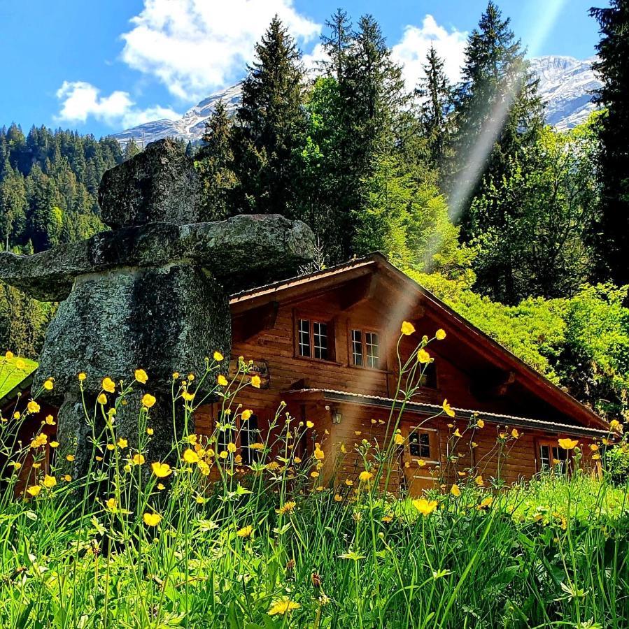 Alpenlodge Willigen Екстериор снимка